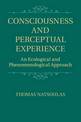 Consciousness and Perceptual Experience: An Ecological and Phenomenological Approach