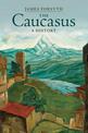 The Caucasus: A History