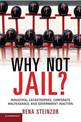 Why Not Jail?: Industrial Catastrophes, Corporate Malfeasance, and Government Inaction