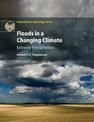 Floods in a Changing Climate: Extreme Precipitation