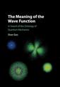 The Meaning of the Wave Function: In Search of the Ontology of Quantum Mechanics