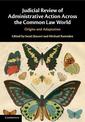 Judicial Review of Administrative Action Across the Common Law World: Origins and Adaptation