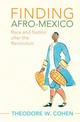 Finding Afro-Mexico: Race and Nation after the Revolution