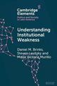 Understanding Institutional Weakness: Power and Design in Latin American Institutions