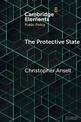 The Protective State