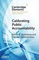 Calibrating Public Accountability: The Fragile Relationship between Police Departments and Civilians in an Age of Video Surveill