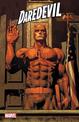 Daredevil: Back In Black Vol. 5: Supreme