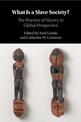 What Is a Slave Society?: The Practice of Slavery in Global Perspective