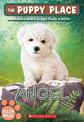 Angel (the Puppy Place #46): Volume 46