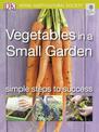 Vegetables in a Small Garden: Simple Steps to Success