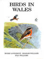 Birds in Wales