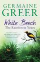 White Beech: The Rainforest Years