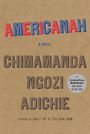 Americanah (Large Print)