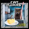 Cat Wars: I sense a disturbance . . . near the cheese