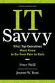 IT Savvy: What Top Executives Must Know to Go from Pain to Gain