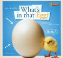 ZigZag: What's in That Egg? (ZigZag)