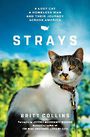 Strays: A Lost Cat, a Drifter, and Their Journey Across America (Large Print)