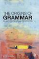 The Origins of Grammar: An Anthropological Perspective