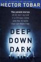 Deep Down Dark: The Untold Stories of 33 Men Buried in a Chilean Mine, and the Miracle that Set them Free