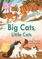 Reading Champion: Big Cats, Little Cats: Independent Reading Pink 1B Non-fiction