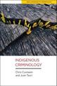 Indigenous Criminology