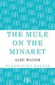 The Mule on the Minaret: A Novel about the Middle East