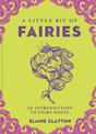 A Little Bit of Fairies: An Introduction to Fairy Magic