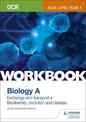 OCR AS/A Level Year 1 Biology A Workbook: Exchange and transport; Biodiversity, evolution and disease