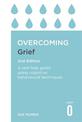 Overcoming Grief 2nd Edition: A Self-Help Guide Using Cognitive Behavioural Techniques