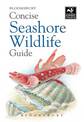 Concise Seashore Wildlife Guide