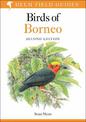 Birds of Borneo