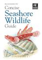 Concise Seashore Wildlife Guide