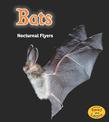 Bats: Nocturnal Flyers (Night Safari)