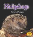 Hedgehogs: Nocturnal Foragers (Night Safari)