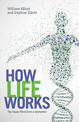 How Life Works: The Inside Word from a Biochemist