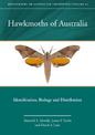 Hawkmoths of Australia: Identification, Biology and Distribution