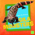 Get to Know Gila Monsters (Get to Know Reptiles)