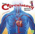 Circulatory System