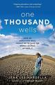 One Thousand Wells: How an Audacious Goal Taught Me to Love the World Instead of Save It