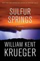 Sulfur Springs: A Novel