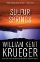 Sulfur Springs: A Novel