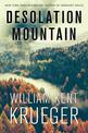 Desolation Mountain: A Novel