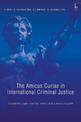 The Amicus Curiae in International Criminal Justice