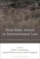 Non-State Actors in International Law