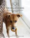 The Holistic Dog: Inside the Canine Mind, Body, Spirit, Space