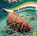 Sea Cucumbers (Faceless, Spineless, and Brainless Ocean Animals)