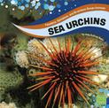 Sea Urchins (Faceless, Spineless, and Brainless Ocean Animals)