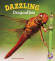 Dazzling Dragonflies (Bugs are Beautiful!)