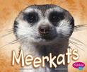 Meerkat (African Animals)