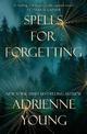 Spells for Forgetting: the magical and compelling mystery perfect for winter nights